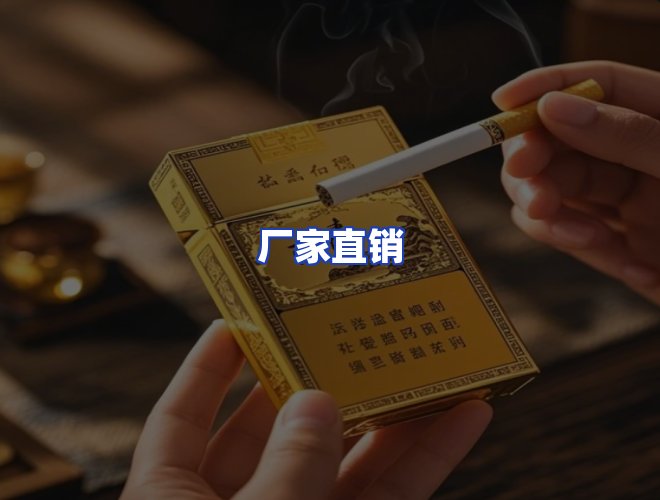 专业团队